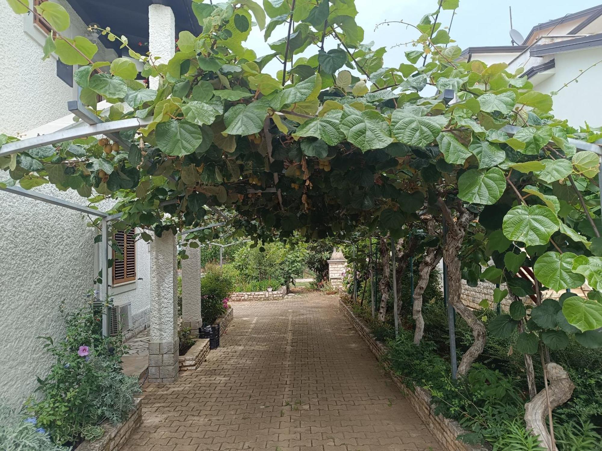 Apartment Milena Porec Ngoại thất bức ảnh